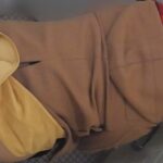 Dai_san_taiikukan_File091.mp4_20250614_184335.263