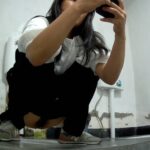 chn_toilet-299.mp4_20250411_133952.425