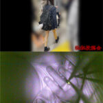 満員電車で清楚系ミニスカギャルをお触り。24分間の攻防。 toukoukai-1_250810s1