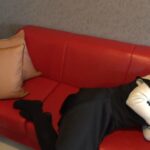 FC2PPV_1235904.mp4_20251222_191217.379