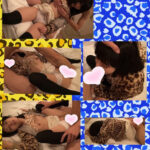 農業校に通う女子 ゴボウ系 GOBOO_18mins1