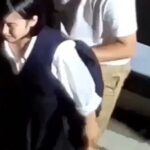 Hapuningu_jidori_korekushon_30min-2.mp4_20251219_201733.229