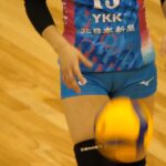 camel60file_5min.mp4_20251218_102320.837