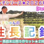 meikkomove164_125mins1