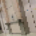 shiri_washidzukami_wareme_kaicho.mp4_20251229_092354.397