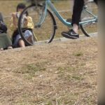 210902p_7m45s.mp4_20260117_170648.242