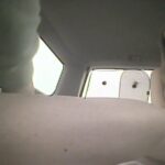 Daigaku_kyojuga_wanbokkusukade-6s5