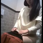 HS_riaru_joshi_toire_collec_22-23.mp4_20260622_204450.845