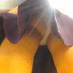 pornika064_and_omake.mp4_20260706_171352.392