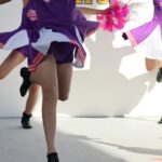 do344_310pss (2)