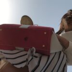 hatoni_esayaru_shifuku-c_ni.mp4_20260727_013047.976