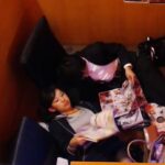 Nekafe_tenin_muteki_ingu-san-1s1