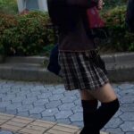 hokuai_mekurimasu_collec-1_10vid_23min.mp4_20260911_045703.899